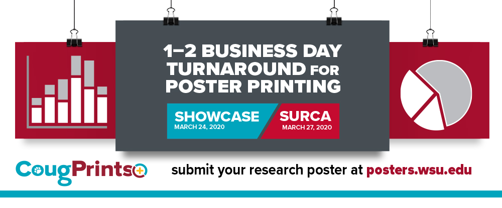 SURCA, Showcase poster printing
